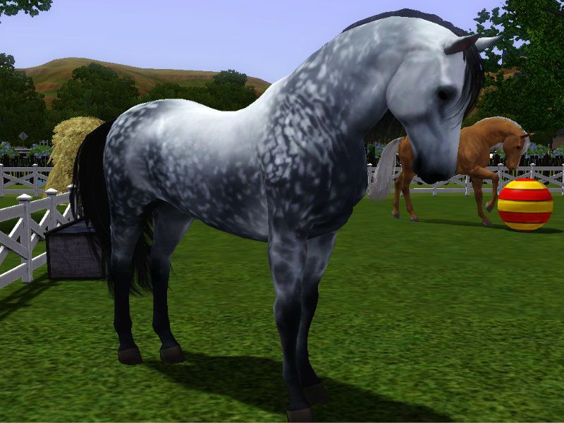 Horse Mods For Sims 3 Codejawer